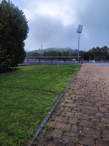 Estádio Municipal de Seia - Campo de futebol