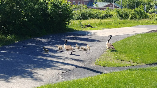 Gas Station «Mobil», reviews and photos, 33 Marion Ave, Saratoga Springs, NY 12866, USA