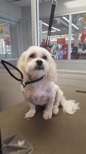 Pet Supply Store «Petco Animal Supplies», reviews and photos, 24413 Crenshaw Blvd #8, Torrance, CA 90505, USA