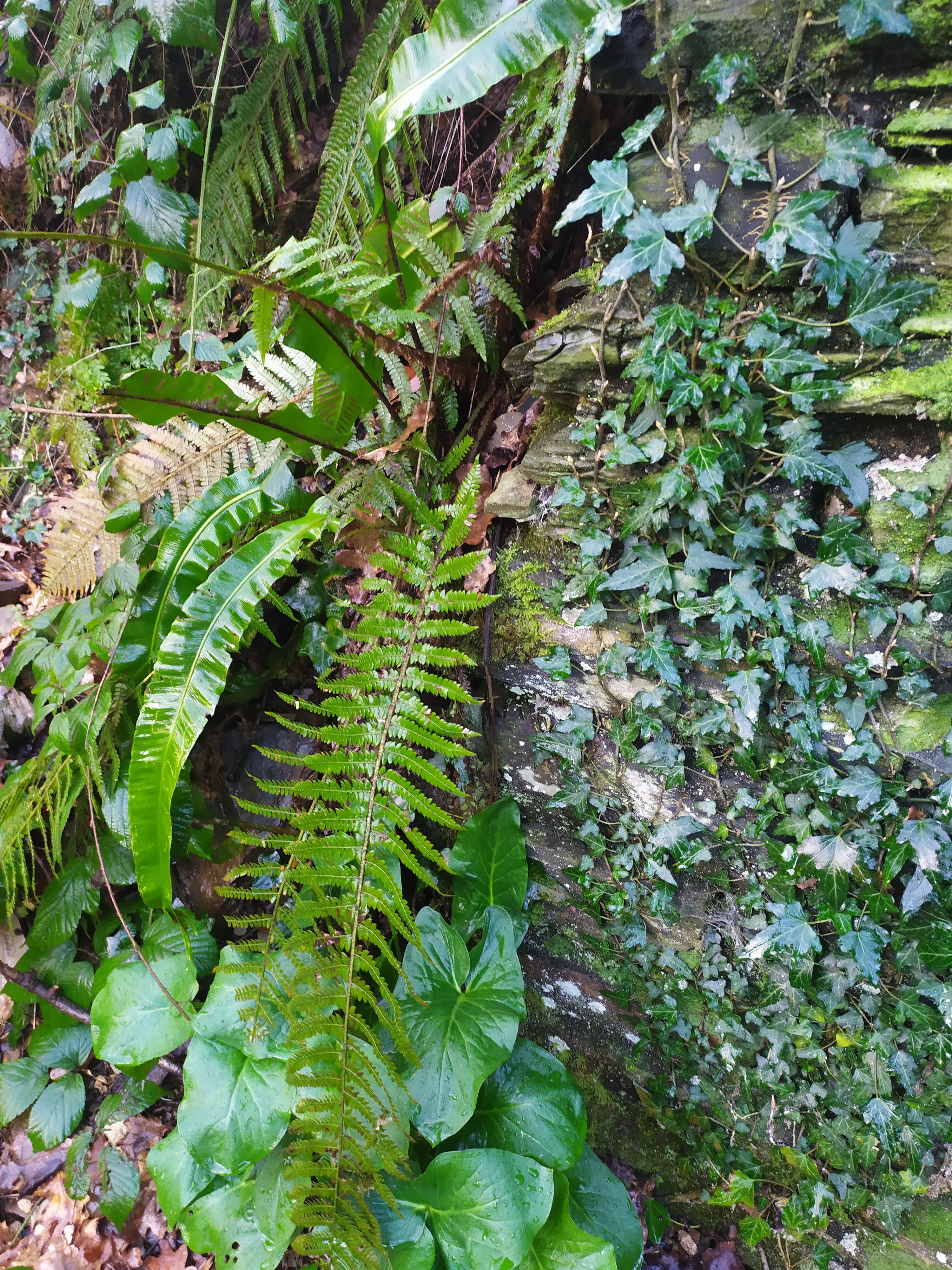 Photo n° 2 de l'avis de Céline.r fait le 20/02/2020 à 17:52
