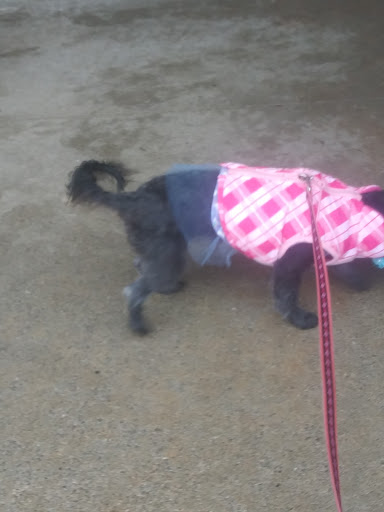 Pet Supply Store «PetSmart», reviews and photos, 1116 S Rochester Rd, Rochester Hills, MI 48307, USA