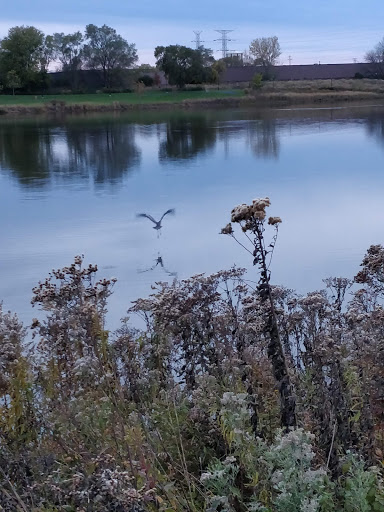 Gym «Wheeling Park District», reviews and photos, 333 W Dundee Rd, Wheeling, IL 60090, USA