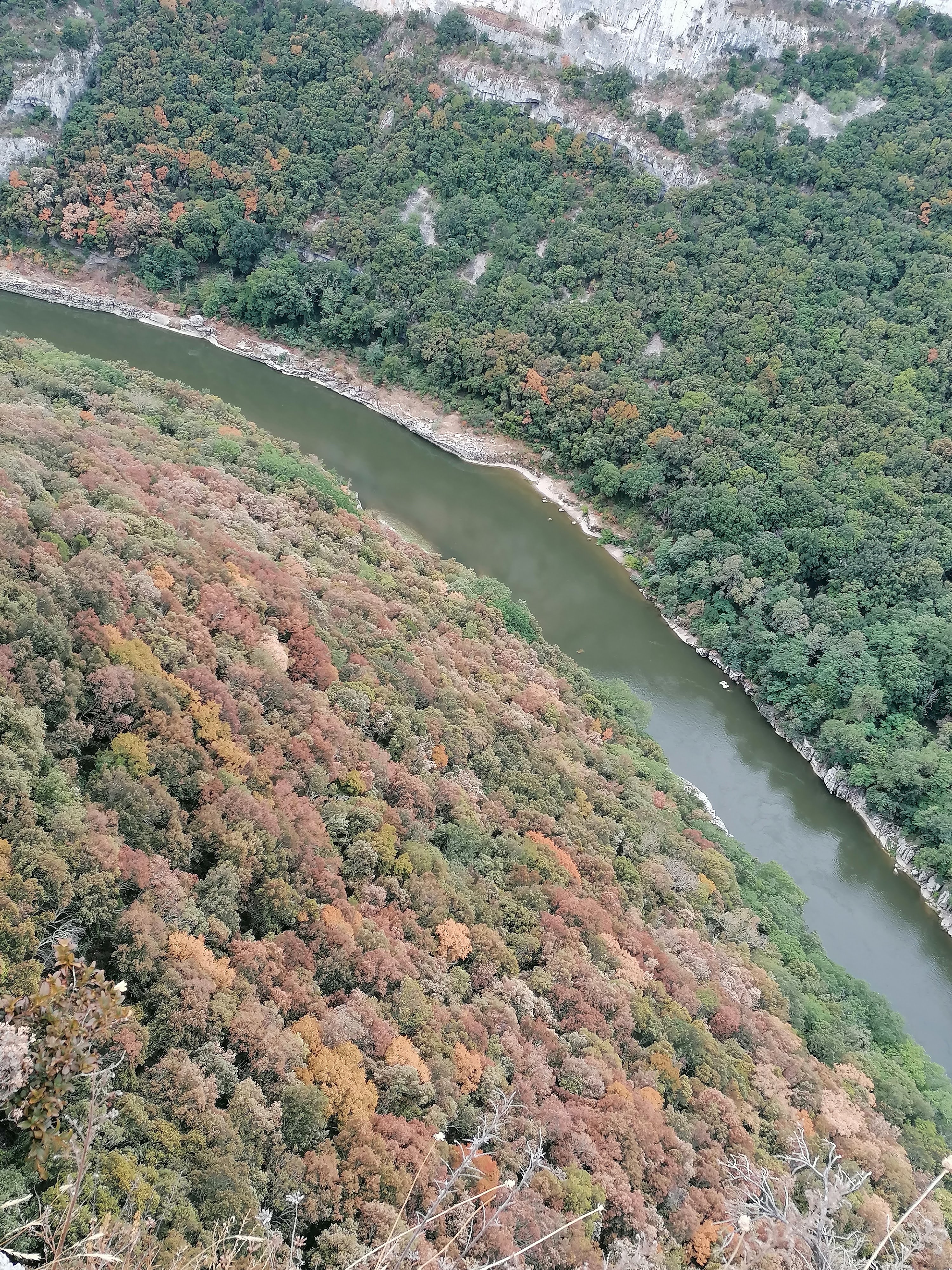 Photo n° 1 de l'avis de alain. fait le 28/08/2022 à 07:38