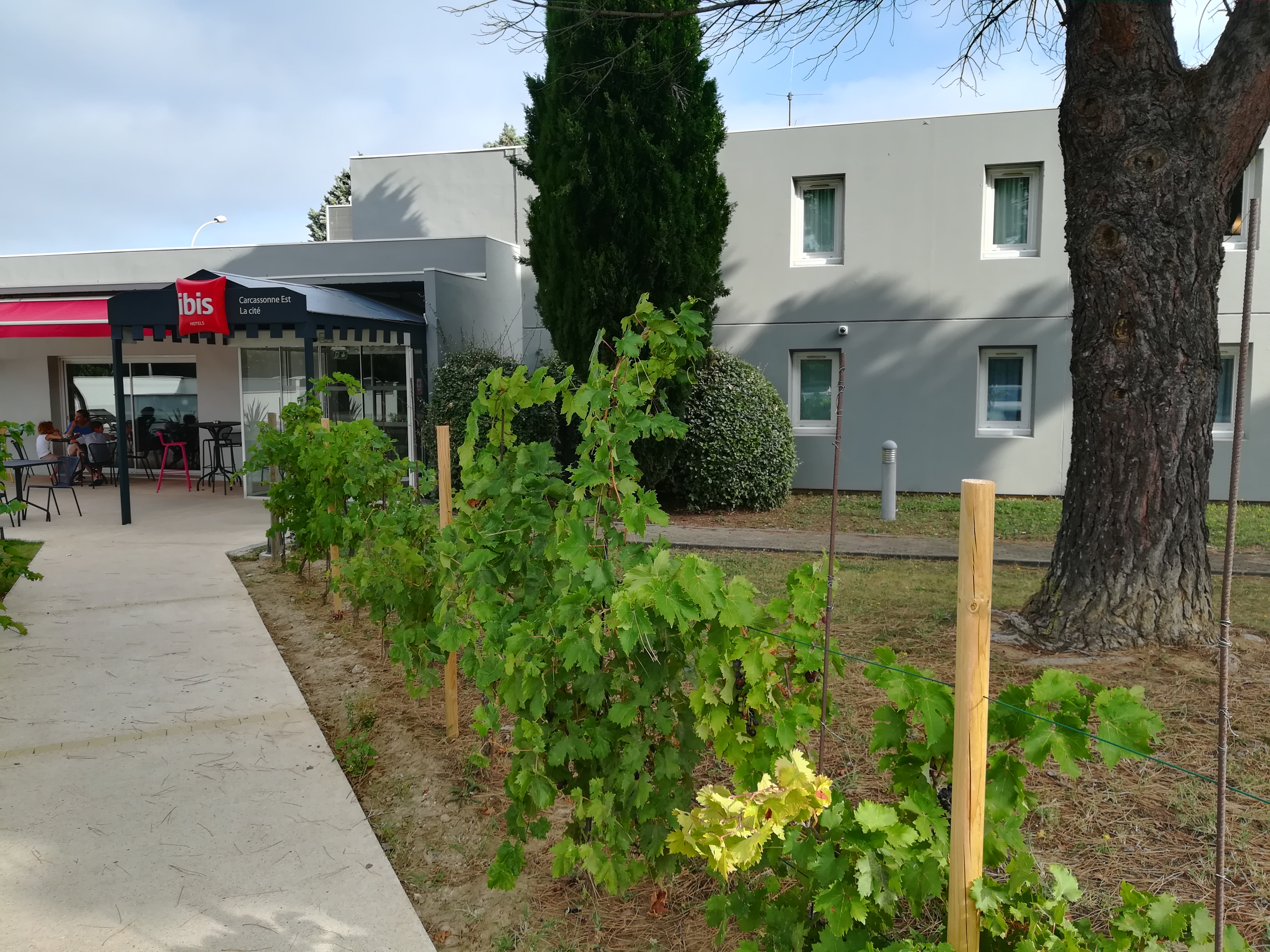 Photo n° 1 de l'avis de Jean-Marc.o fait le 07/09/2019 à 14:45