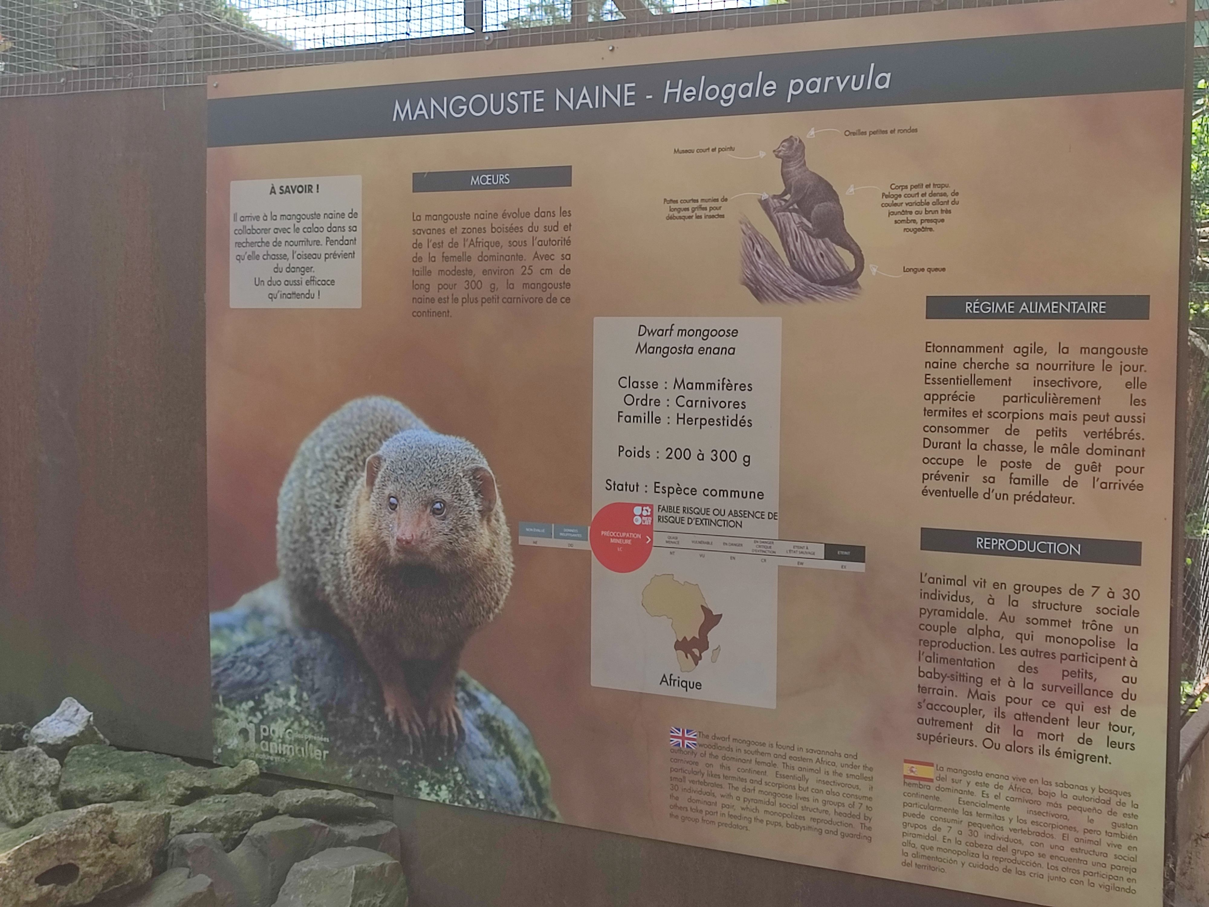 Photo n° 3 de l'avis de Julien.a fait le 02/06/2023 à 04:00