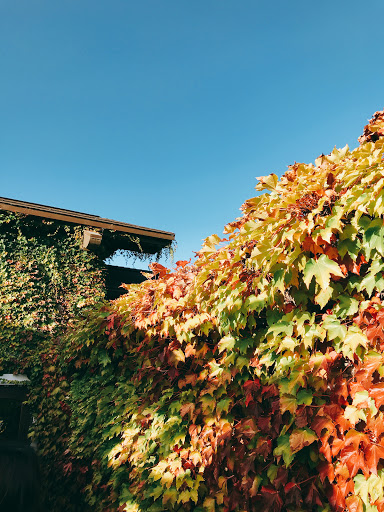 Club «StoneTree Golf Club (A Bay Club Property)», reviews and photos, 9 Stone Tree Ln, Novato, CA 94945, USA