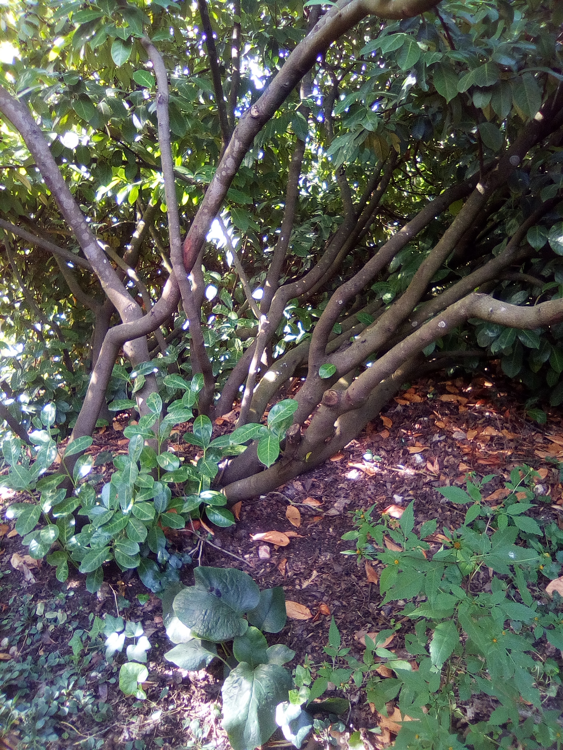 Photo n° 4 de l'avis de Danièle.c fait le 24/08/2019 à 20:20