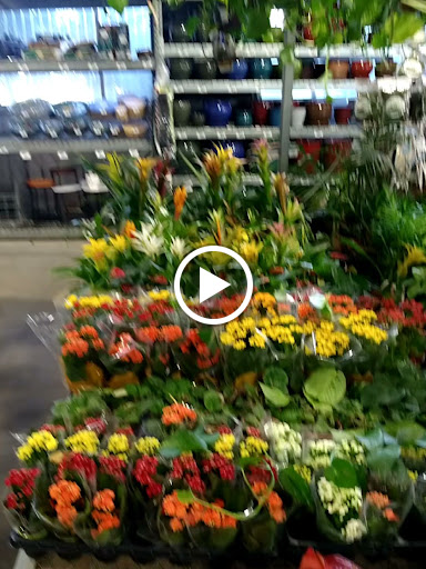 Home Improvement Store «The Home Depot», reviews and photos, 2980 S Euclid Ave, Ontario, CA 91762, USA