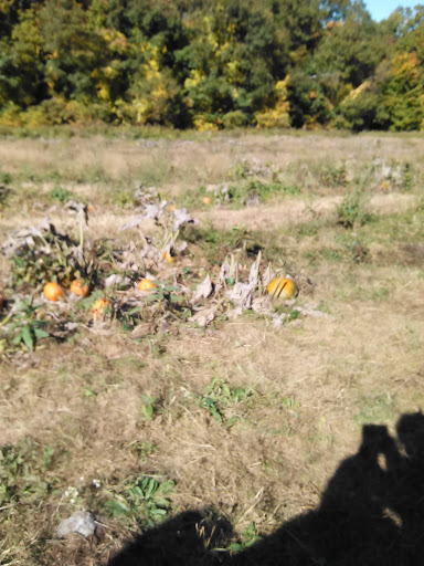 Winery «Echo Hill Orchards & Winery», reviews and photos, 101 Wilbraham Rd, Monson, MA 01057, USA