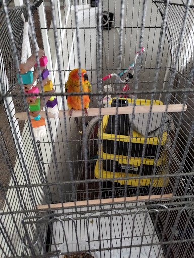 Pet Store «Oasis Tropicals», reviews and photos, 507 Commerce St, Pleasanton, TX 78064, USA