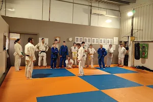 Judo Vall del Terri image