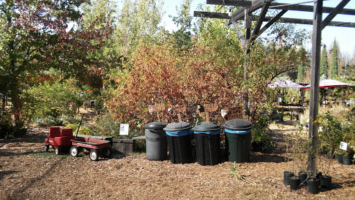 Coffee Shop «Mountain Sage», reviews and photos, 18653 Main St, Groveland, CA 95321, USA