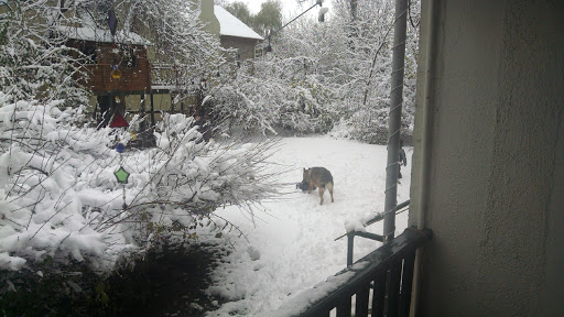 Park «Observatory Park», reviews and photos, 2100 S Fillmore St, Denver, CO 80210, USA