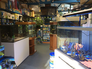 Photo n°13 de Comme un poisson dans l'eau : Animalerie, Poissons et Aquariums Eau Douce et Eau de mer à Cesson-Sévigné ()