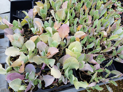 Landscaping Supply Store «Schroeder Material Inc», reviews and photos, 10800 SW Hwy, Worth, IL 60482, USA