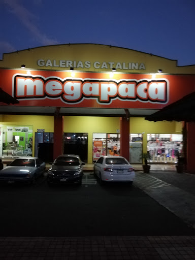 Megapaca Catalina
