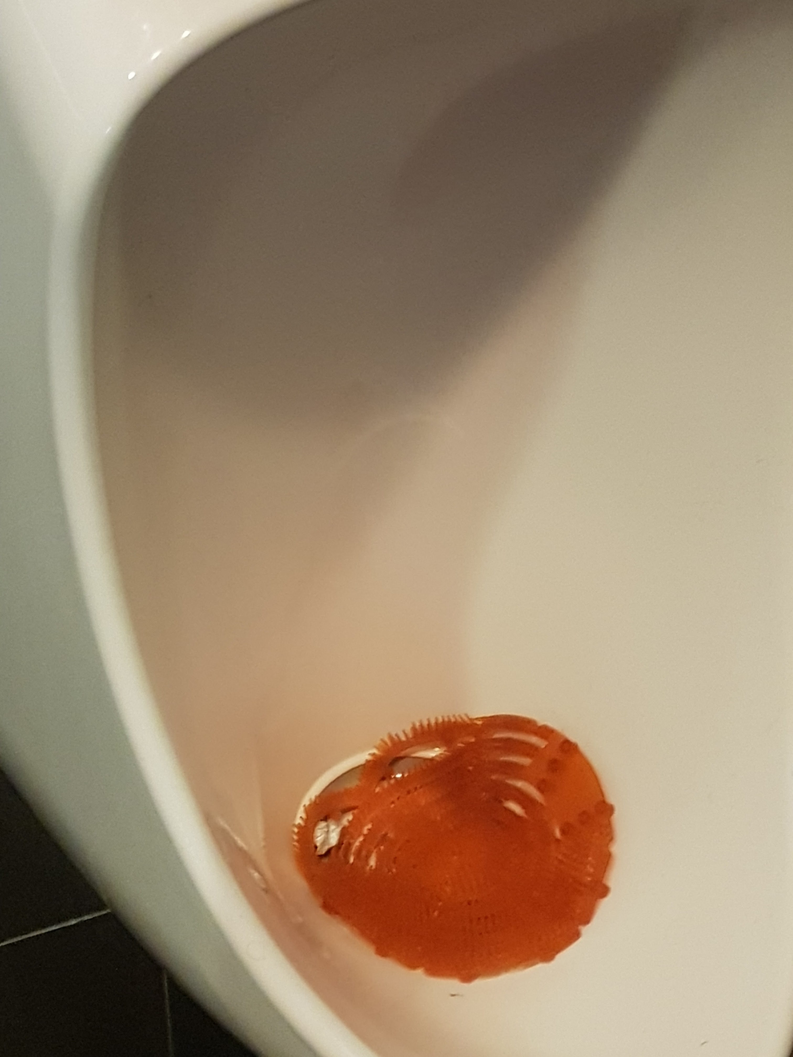 Photo n° 11 de l'avis de Loulou.7 fait le 17/01/2020 à 22:15