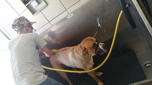 Pet Supply Store «Pet Supplies Plus», reviews and photos, 1726 Dekalb Pike, Blue Bell, PA 19422, USA