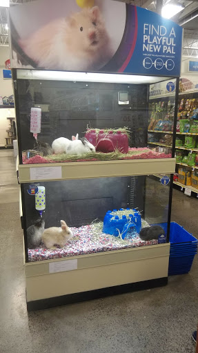Pet Supply Store «PetSmart», reviews and photos, 3401 Erie Blvd E, Syracuse, NY 13214, USA