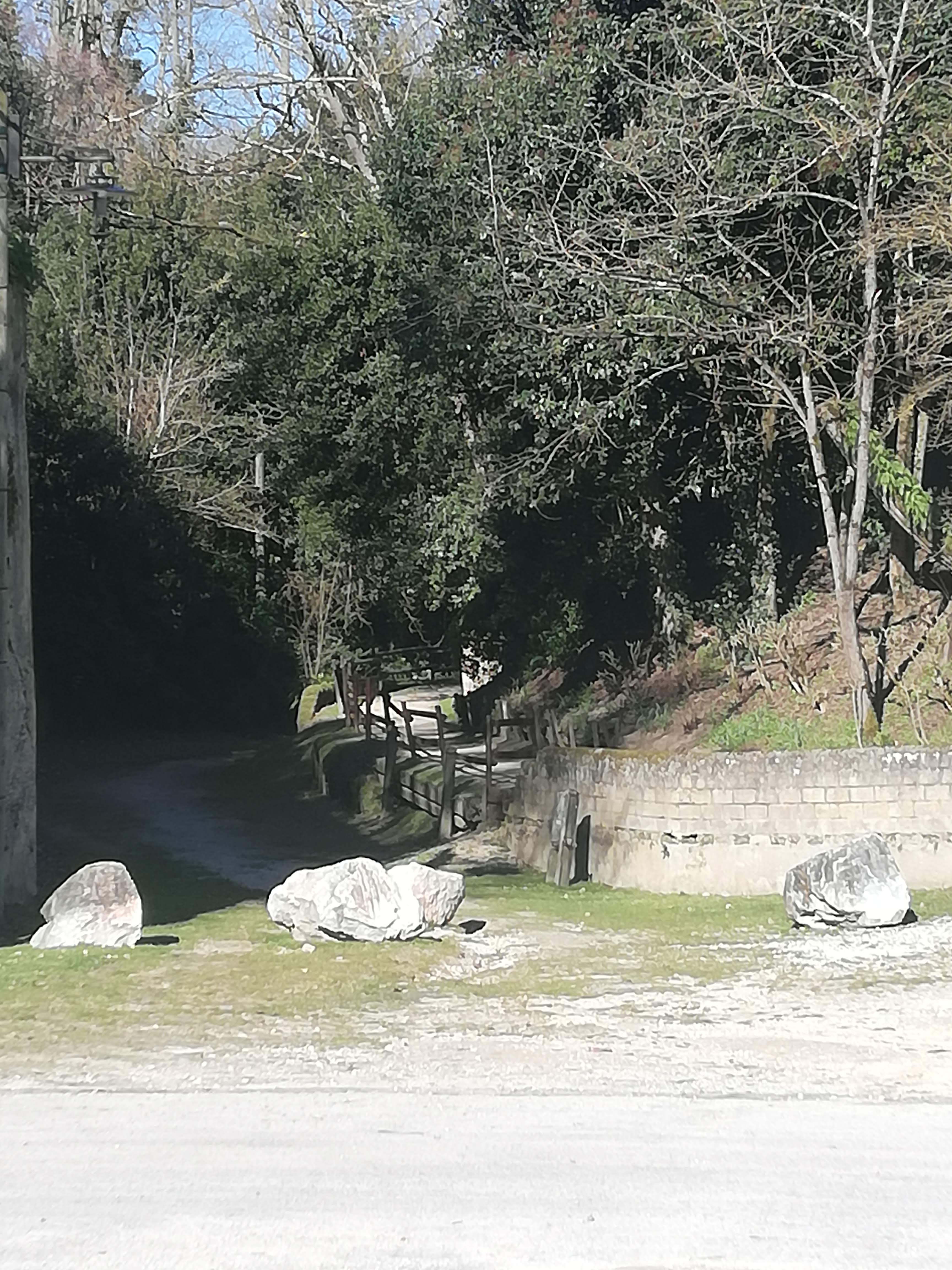 Photo n° 5 de l'avis de Calou167.a fait le 28/02/2022 à 12:45