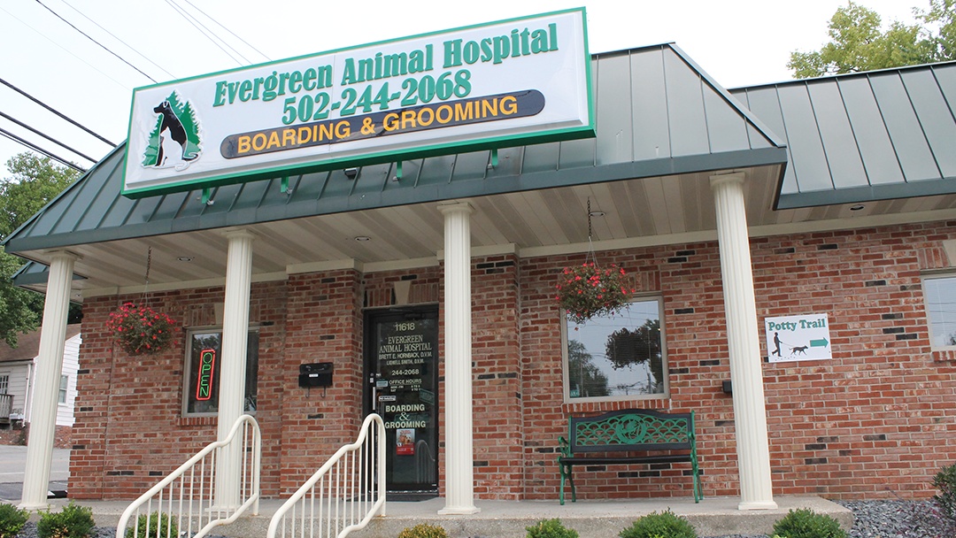 Evergreen Animal Hospital