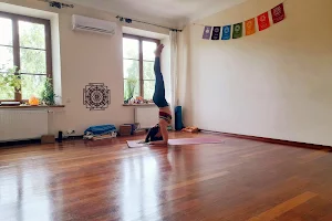 YogiTribe: Vinyasa Yoga Studio image