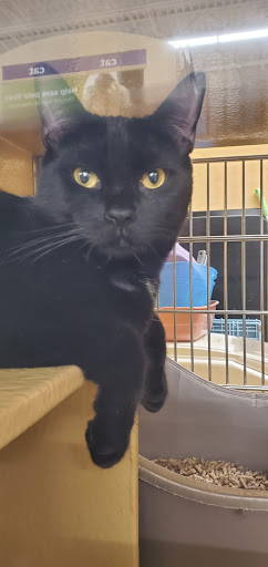 Pet Supply Store «PetSmart», reviews and photos, 156 Old Little Britain Rd, Newburgh, NY 12550, USA