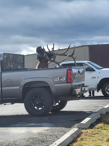 Auto Parts Store «NAPA Auto Parts - Central Parts Company», reviews and photos, 2035 N Last Chance Gulch, Helena, MT 59601, USA