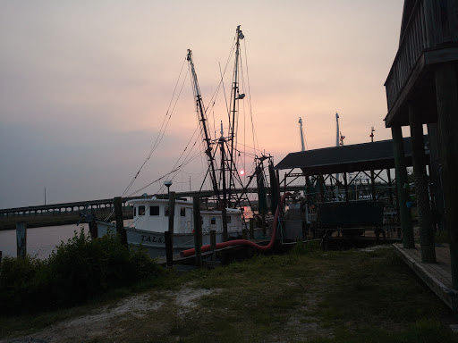 Canoe & Kayak Tour Agency «Altamaha Coastal Tours», reviews and photos, 229 Fort King George Dr, Darien, GA 31305, USA