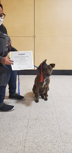 Pet Supply Store «PetSmart», reviews and photos, 466 S Watson Rd, Buckeye, AZ 85326, USA