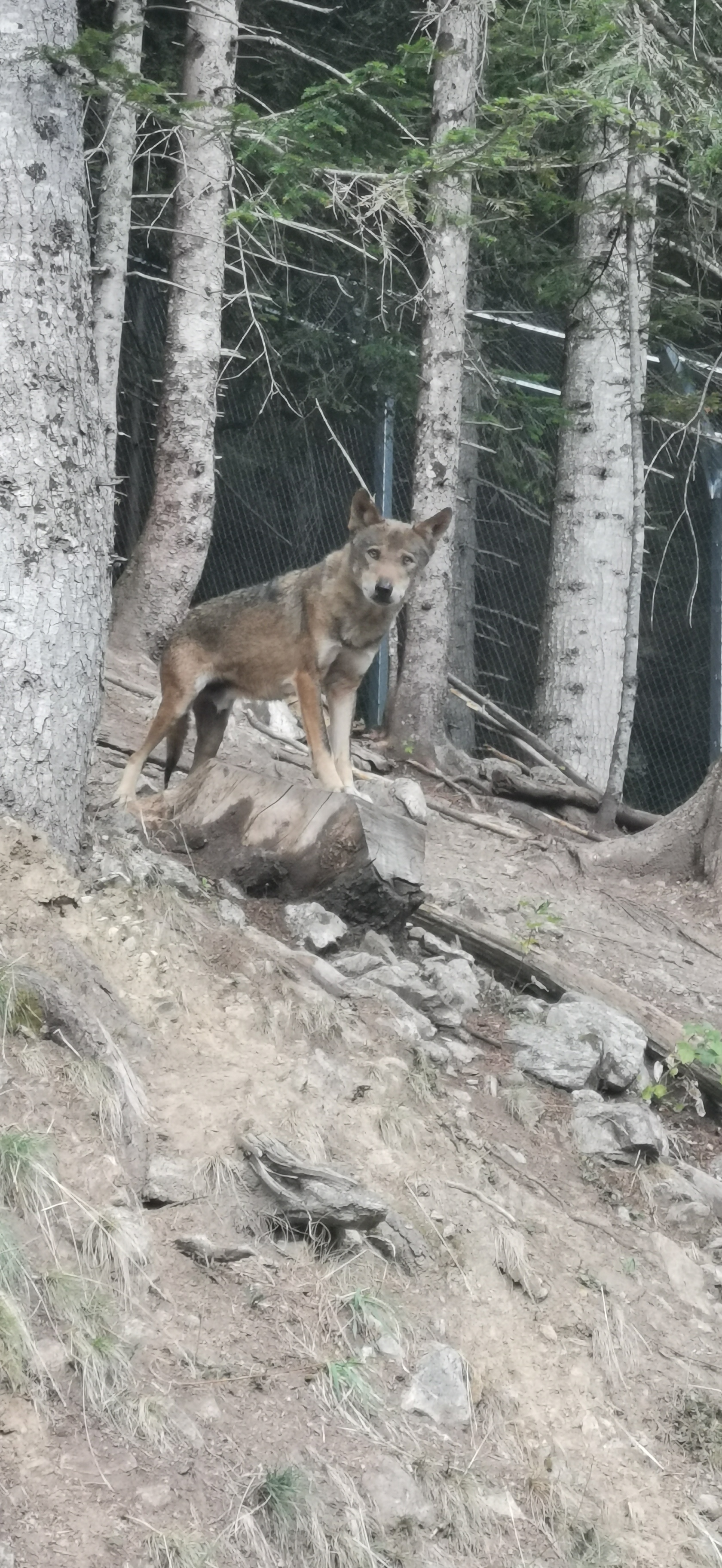 Photo n° 1 de l'avis de Benoit.o fait le 15/09/2023 à 19:02