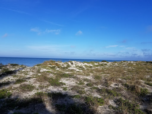 Donut Shop «The Lighthouse Donuts», reviews and photos, 215 Gulf Blvd, Indian Rocks Beach, FL 33785, USA