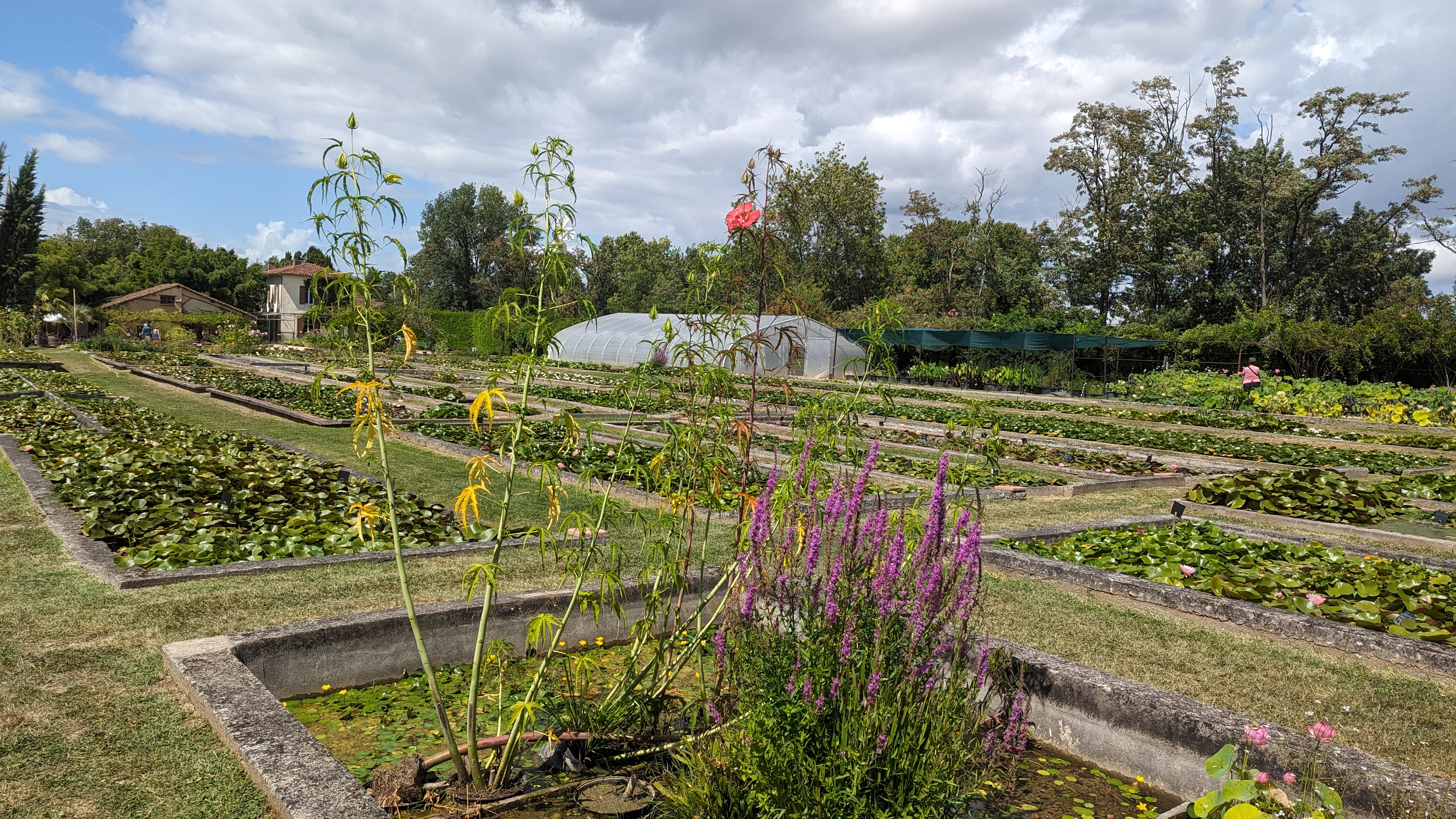 Photo n° 1 de l'avis de Olivier.i fait le 03/08/2023 à 20:38