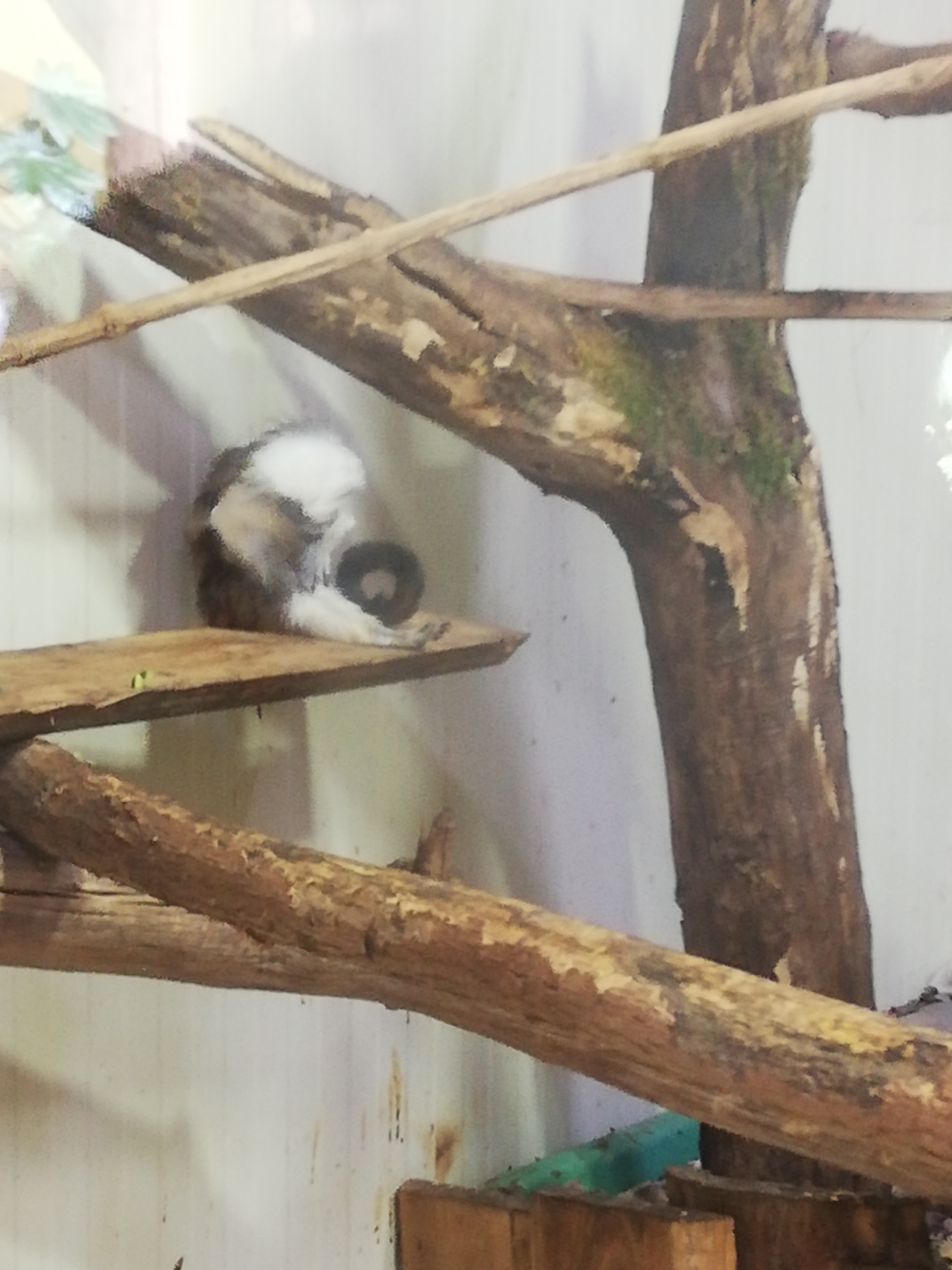 Photo n° 16 de l'avis de Soleil. fait le 20/08/2020 à 12:36