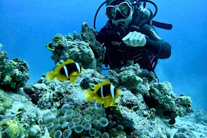 Blue Whale Divers - Diving Center Hurghada image