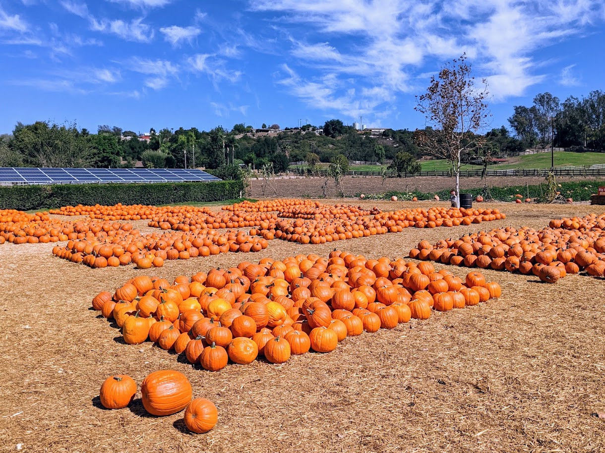 Bates Nut Farm