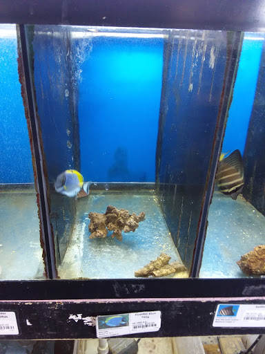 Pet Store «M V Pets», reviews and photos, 7429 S Westnedge Ave, Portage, MI 49002, USA