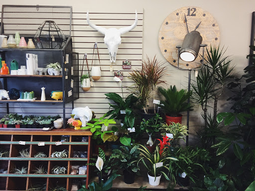 Florist «Columbia City Bouquet», reviews and photos, 4873 Rainier Ave S, Seattle, WA 98118, USA