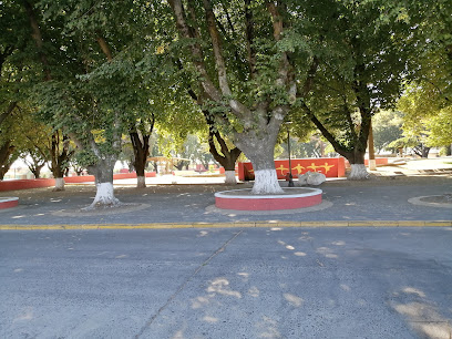 Plaza Renaico