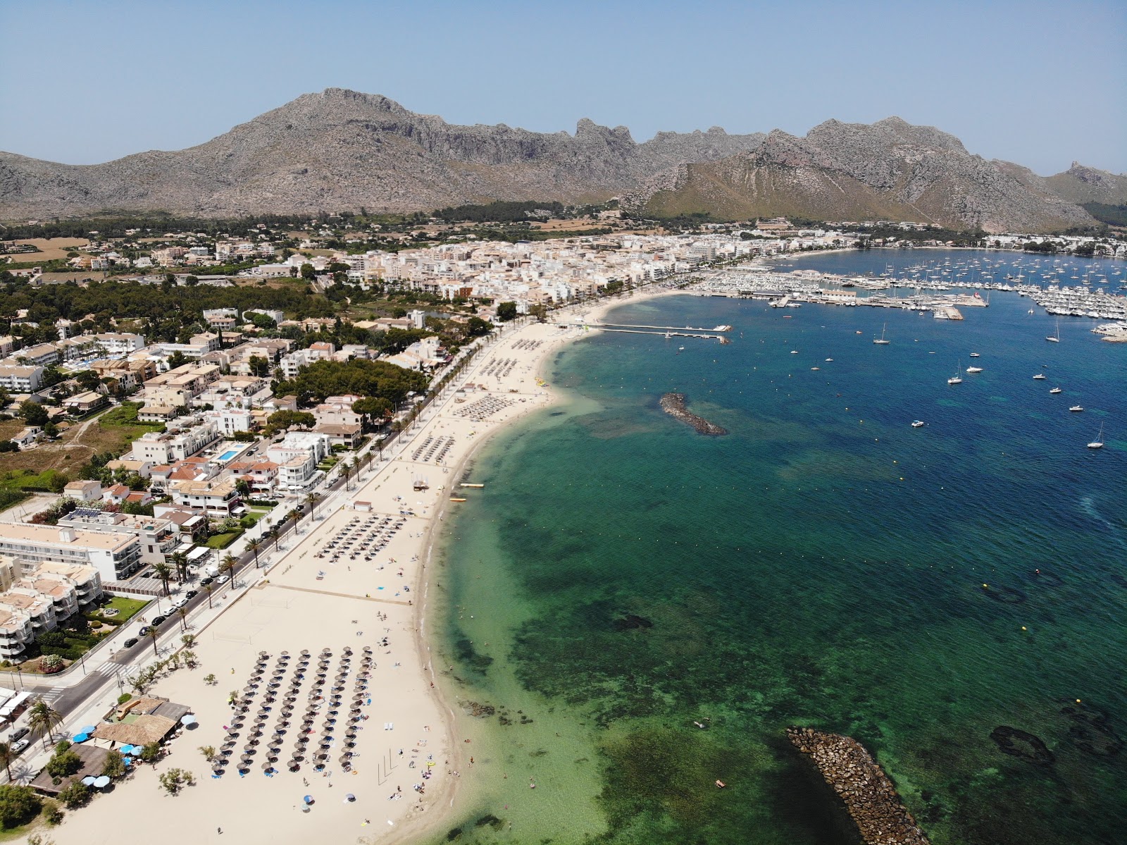 Photo de Plage de Pollença avec un niveau de propreté de assez propre