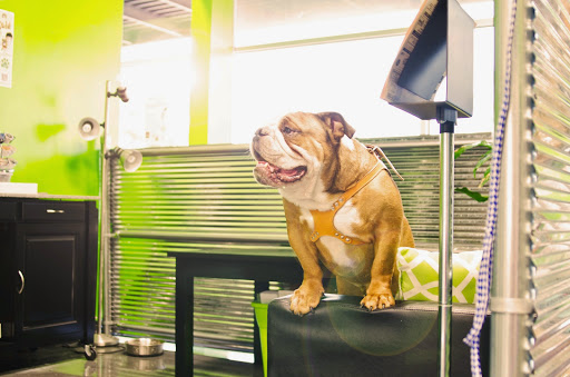 Pet Supply Store «The Green Spot», reviews and photos, 1110 S 71st St, Omaha, NE 68106, USA