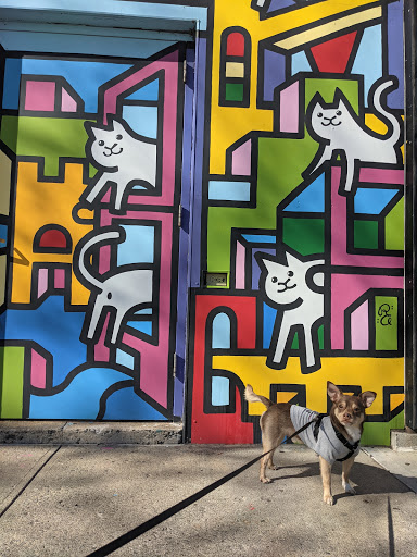 Pet Supply Store «Petco Animal Supplies», reviews and photos, 61-23 190th St, Fresh Meadows, NY 11365, USA