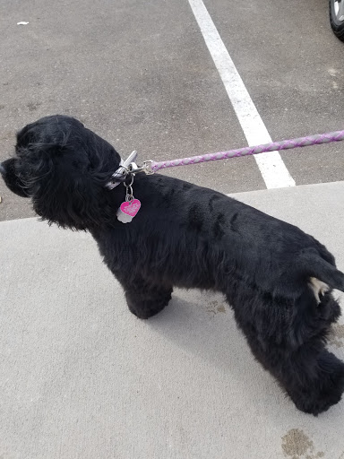 Pet Store «PetSmart», reviews and photos, 10451 Baltimore St NE, Blaine, MN 55449, USA