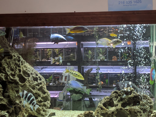 Aquarium Shop «Something Fishy Inc.», reviews and photos, 4764 State Rd, Cleveland, OH 44109, USA
