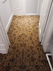 Carpet Cleanse