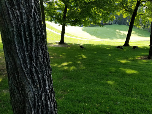 Golf Course «Stonehedge Golf Club», reviews and photos, 15530 M-89, Augusta, MI 49012, USA