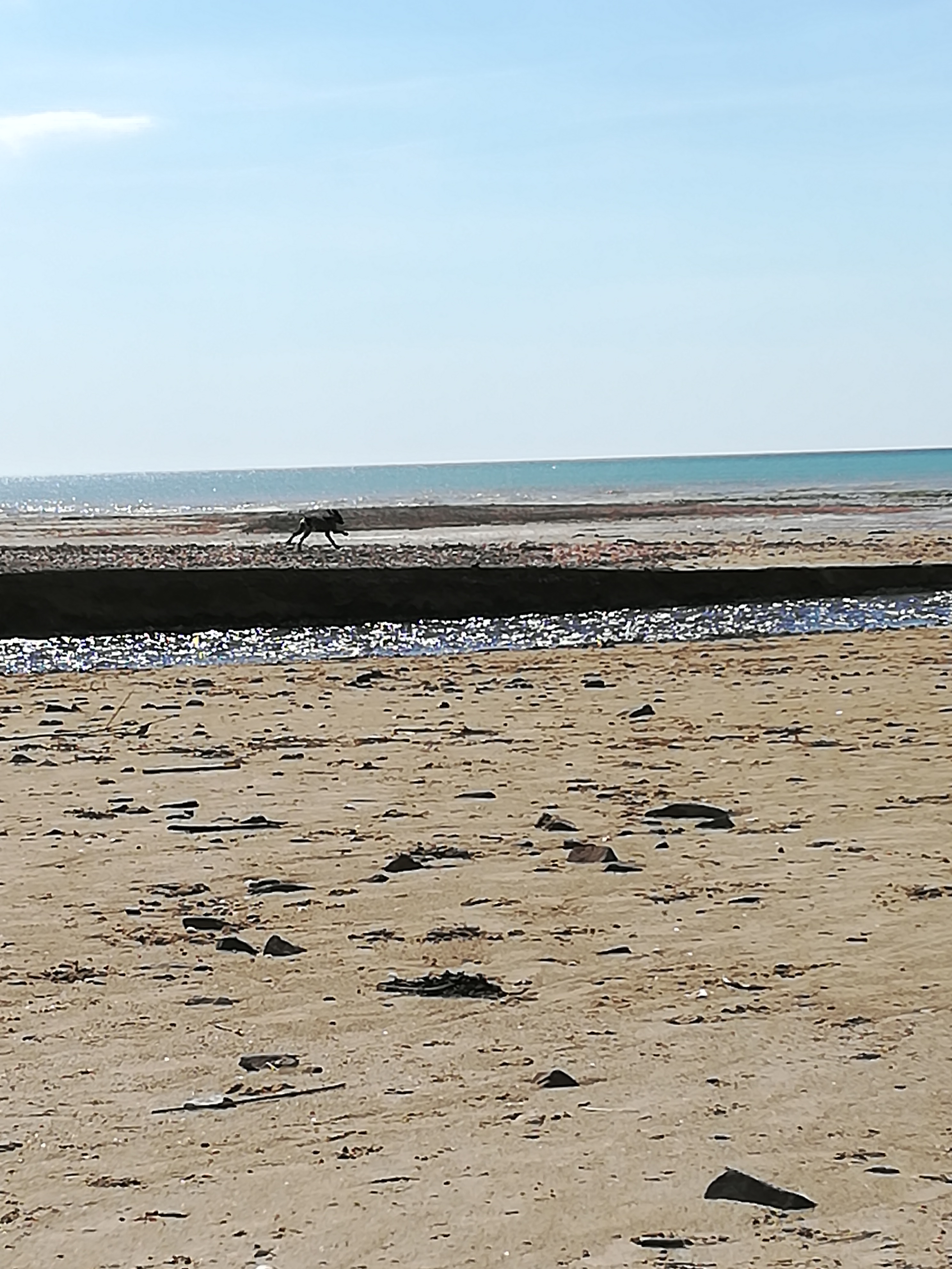 Photo n° 1 de l'avis de mimi.z fait le 12/05/2019 à 16:09