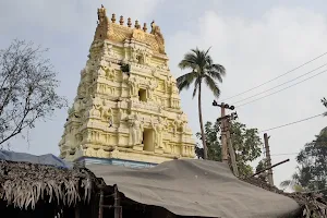 Sri Kurmanatha swamy Temple image
