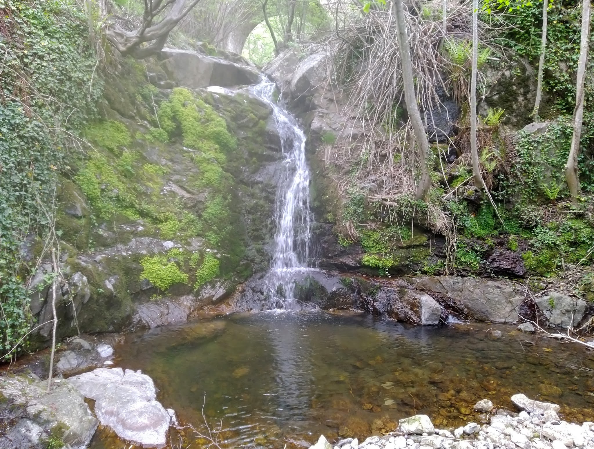 Photo n° 9 de l'avis de Webzine.o fait le 02/09/2021 à 14:23