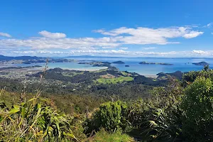 Tokatea Hill Lookout image